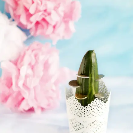 Geldkaktus - Geldgeschenk