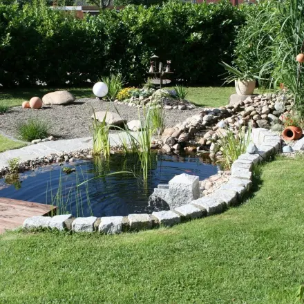 Sauberer Gartenteich mittels Tageszeitung