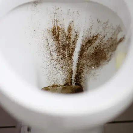 Läuft das Wasser in der Toilette? Test mit Pfeffer