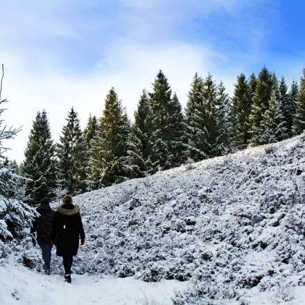 Salzflecken von Schuhen entfernen mit Essiglösung