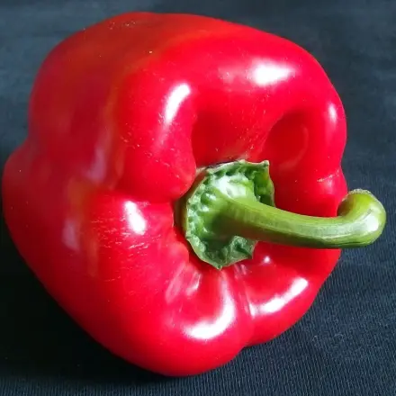 Paprika macht einen gesunden Blutkreislauf