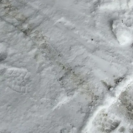 Mit Schnee reinigen