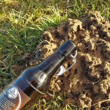 Gegen Maulwurf im Garten - leere Flasche