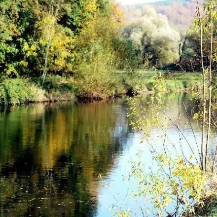 Gegen Kopfschmerzen - langer Spaziergang