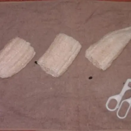 Luffa als Spülschwamm benutzen