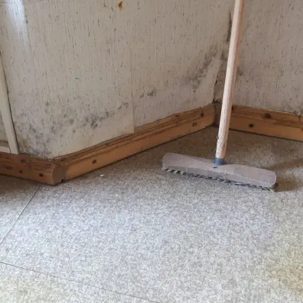 Schimmel nie mit Essig bekämpfen