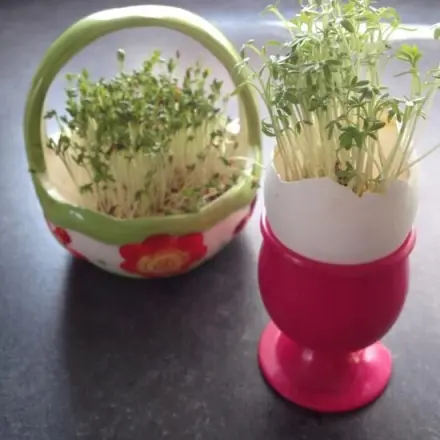 Einfache Frühlingsdeko auch für Kids - zum Selbermachen