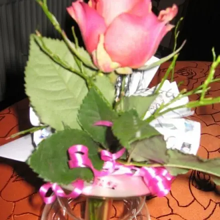 Geldgeschenk mit CD und Rose