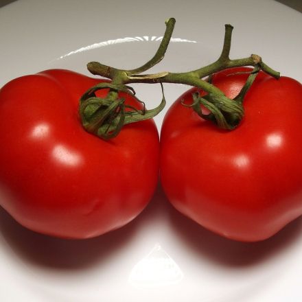 Lycopin in Tomaten-schützt Haut, antioxidativ