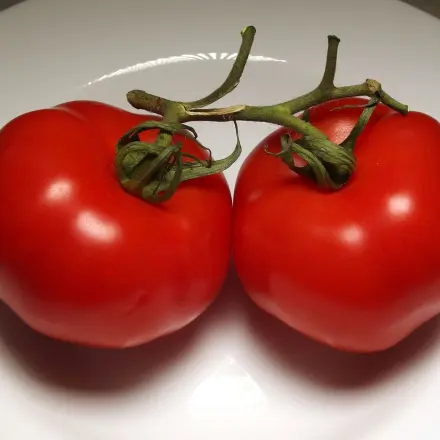 Lycopin in Tomaten-schützt Haut, antioxidativ