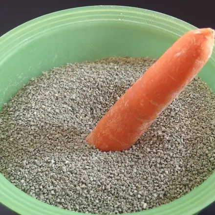 Katzenstreu gegen Schimmel bei Möhren