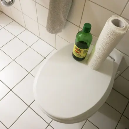 WC - Entfernen von Urinstein