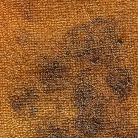 Gegen Teppichflecken: Spülmittel pur