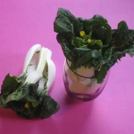 Hübsche Tischdeko für ein Chinagericht - Bok Choy-Kohl in einem Glas
