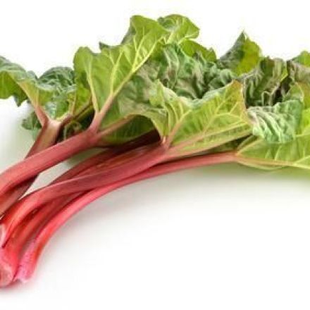 Rhabarberkompott