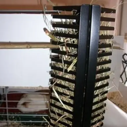 Heuraufe für Meerschweinchen: CD-Ständer aus Metall