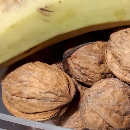 Bananen-Walnuss-Kastenkuchen