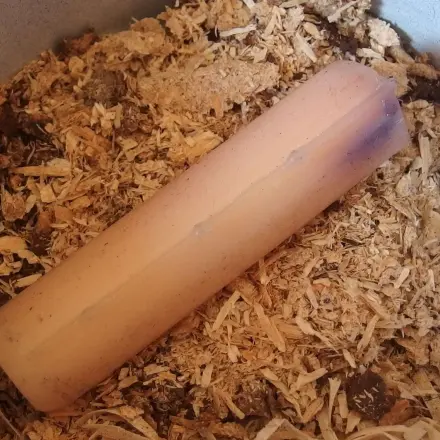 Kamin- oder Grillanzünder selbst herstellen