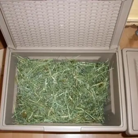 Heu aufbewahren: in einer Wäschebox