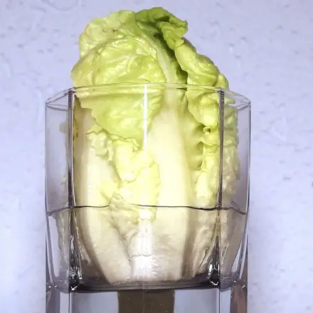 Salatherzen frischhalten