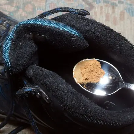 Lieber Zimtsöckchen als Stinksöckchen