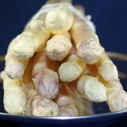 Spargel: So bleiben Spargelspitzen fester
