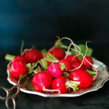 Frischhalten von Radieschen