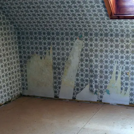 Alte Tapeten von der Wand lösen