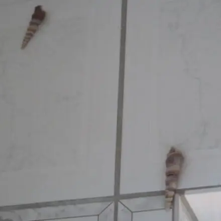 Bohrlöcher im Badezimmer kaschieren