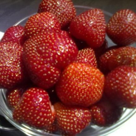 Erdbeeren: sensible Früchte - vorsichtig verarbeiten