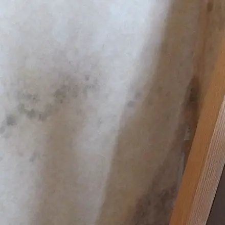 Gegen Schimmel in der Wohnung