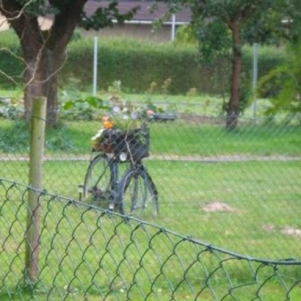 Altes Fahrrad - eine ausgefallene Deko für den Garten