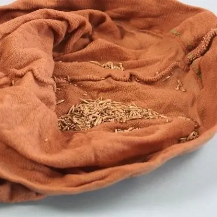 Saatgut trocknen - Nylonstrumpf als Saatgutbehälter