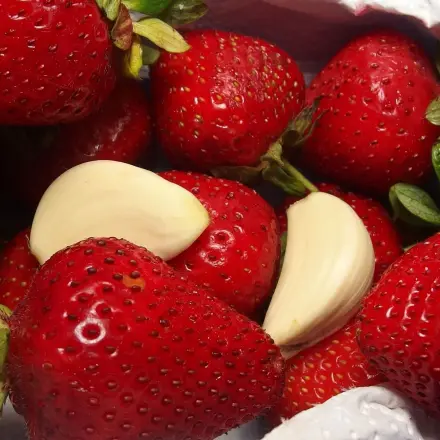 Kein faules Obst mehr