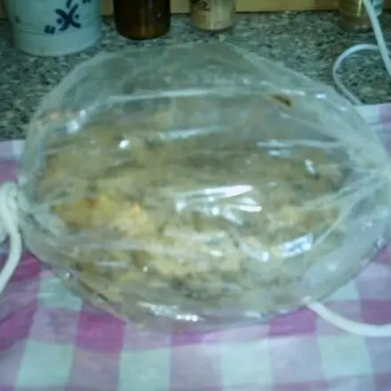 Champignon-Knödel auf böhmische Art