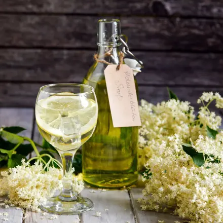 Holunderblütensirup mit Zitrone, Limette, Orange & Vanille herstellen