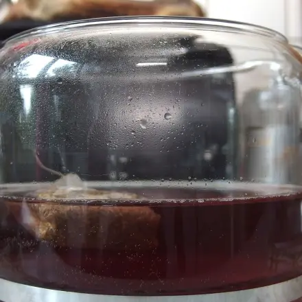 Teebeutel fallen nicht mehr in die Kanne