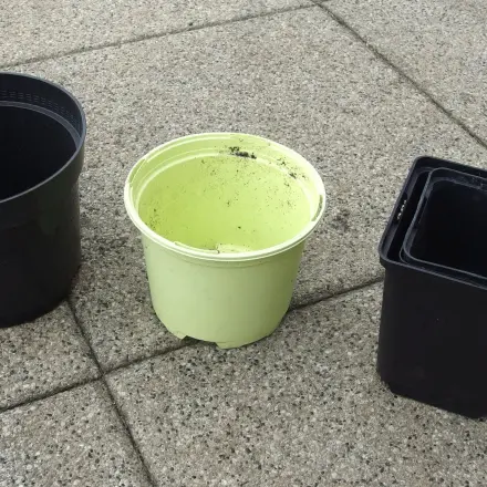 Abfall vermeiden: Blumentöpfe & Paletten bei Gärtnereien abgeben