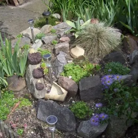 Kräuterspirale mit Hauswurz und Sedum