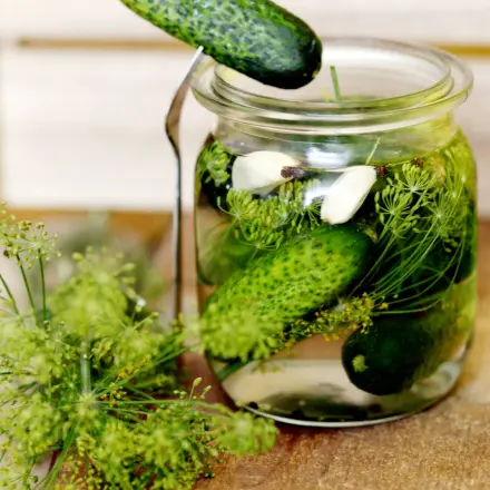 Gewürzgurken einmachen - "Extra-Pikant"
