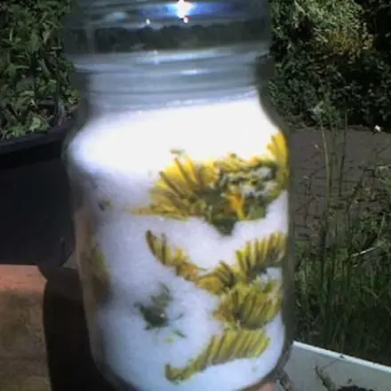 Duftblüten-Sirup herstellen