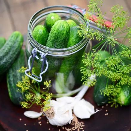 Saure Gurken selbst eingemacht