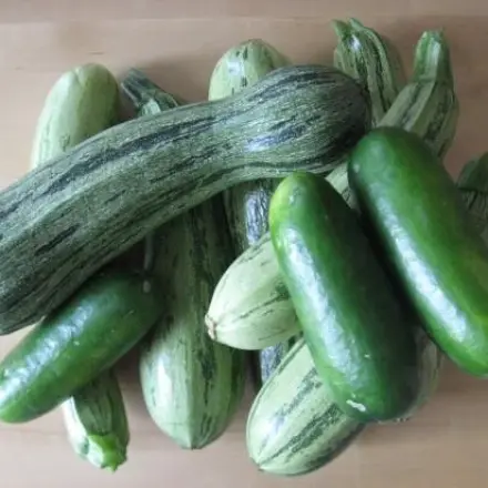 Zucchini- oder Kürbis-Suppe