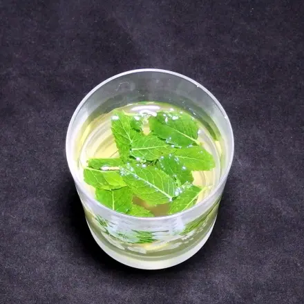 Frische Minze - Minztee - Minzpflanze