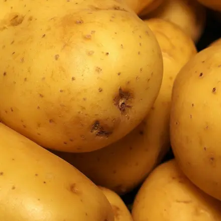 Pellkartoffeln leichter schälen