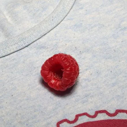 Rote Beerenflecken aus Kleidung entfernen