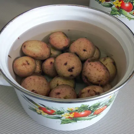Kartoffelwasser als Blumendünger