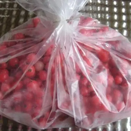 Johannisbeeren so einfrieren, dass sie streufähig sind