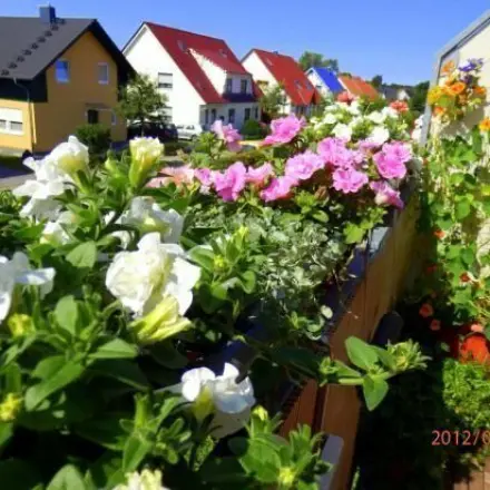 Ausknipsen verwelkter Blüten - schöne üppige Blütenpracht