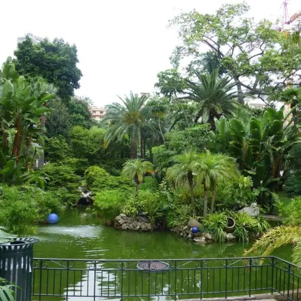 Zuviele Pflanzen im Garten - Pflanzen verschenken